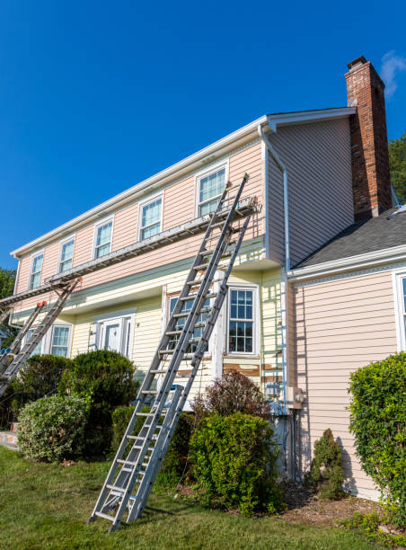 Best Stucco Siding  in Luna Pier, MI